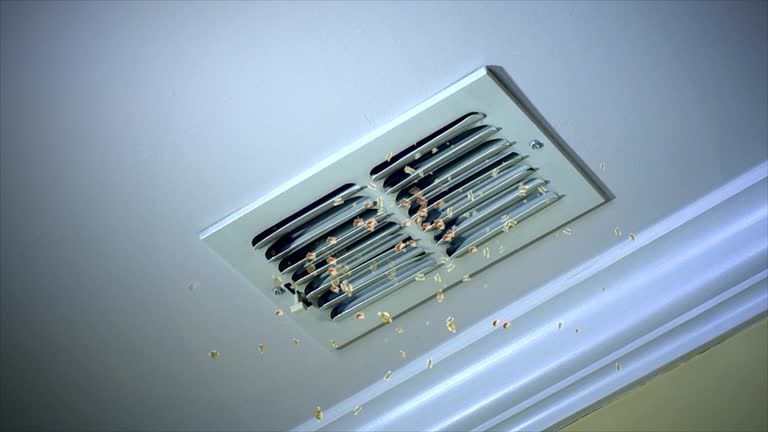 Best Home Air Vent Cleaning  in Lewiston, UT